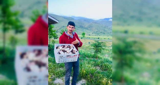 Sağlık il müdürlüğü mantar zehirlenmelerine karşı uyardı