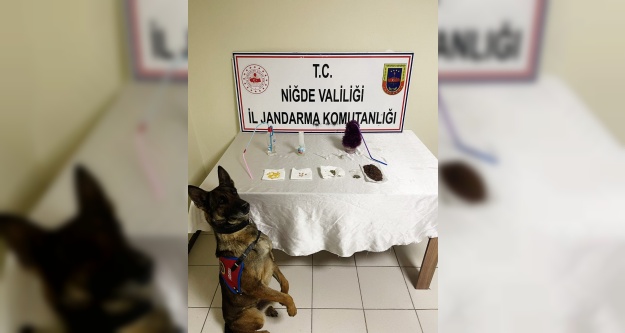 Jandarmadan uyuşturucu operasyonu 1 gözaltı