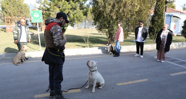 Niğde'de Tehlikeli Köpeklere 'Uyum' Eğitimi