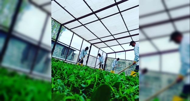 Çiftçilerinin çocukları yeni nesil tarım uygulamalarını öğreniyor