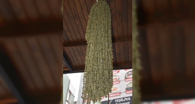 Kuru Bamyanın Kilosu Altın Fiyatında