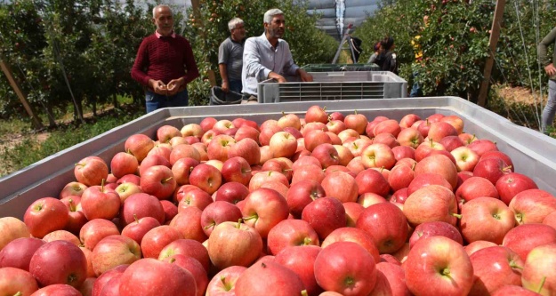 Dünyada elma fuarının 3'üncüsü Niğde'de yapılacak