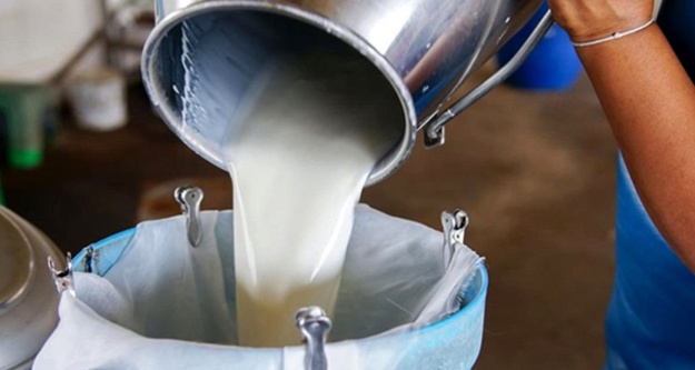 Martta içme sütü üretimi arttı