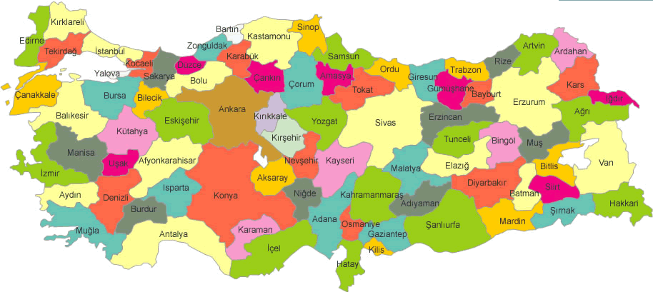 İllerin Cinayet Haritası Çıkartıldı