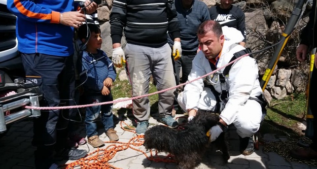 Kuyuya Düşen Köpeği AFAD Kurtardı