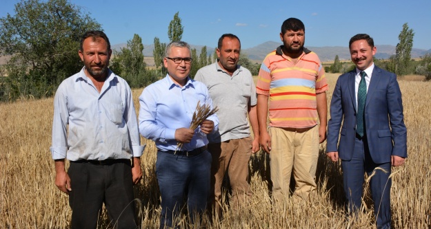 Vali Şimşek buğday hasadına katıldı