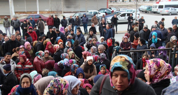 Niğde İŞKUR'da TYP yoğunluğu