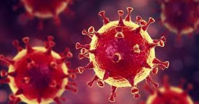 Bor devlet hastanesinde 5 sağlık çalışanda koronavirüs çıktı
