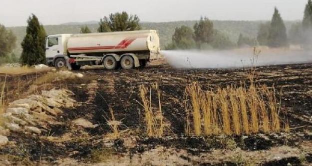Bozköy kasabasında ekili arazi küle döndü