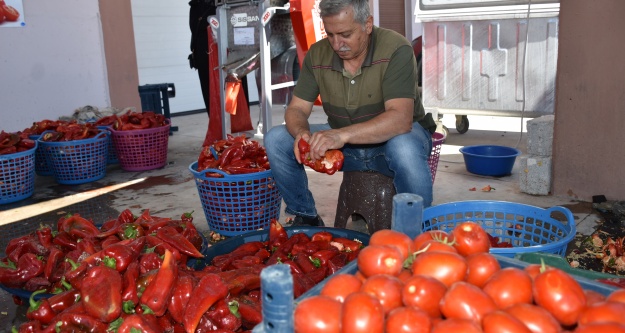 Niğde'de organik salça sezonu açıldı