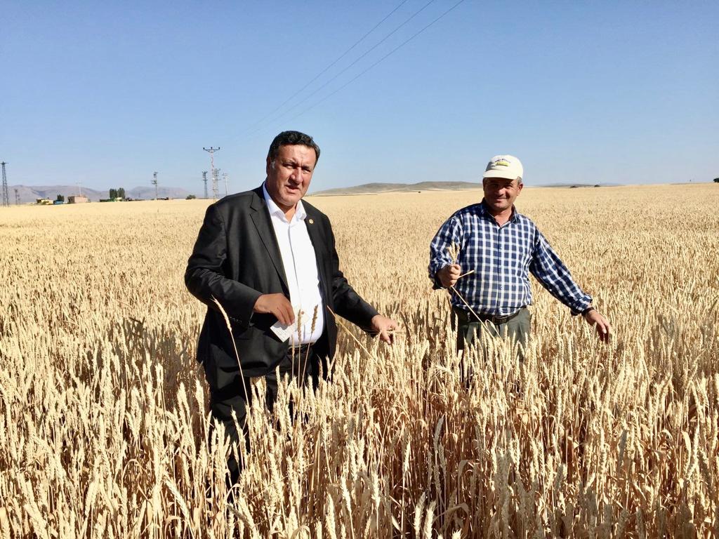 Gürer, 'Buğdayda dışa bağımlılıktan kurtulmalıyız”