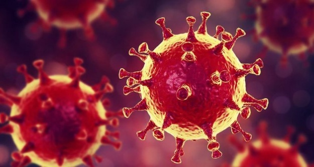 Koronavirüsten Ölenlerin Sayısı 72'ye Yükseldi