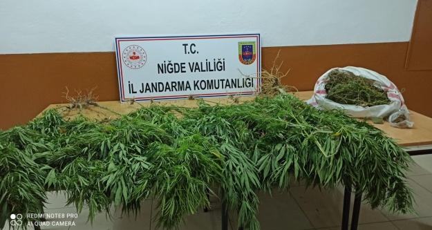 Niğde'de 1 kilo 700 gram kubar esrar ele geçirildi