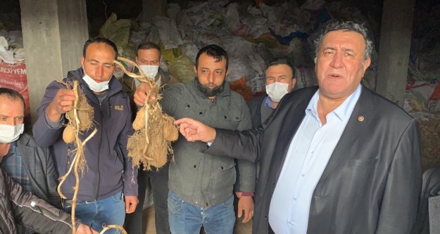 Gürer, 'Binlerce ton patates çürümeden kurtarılsın”