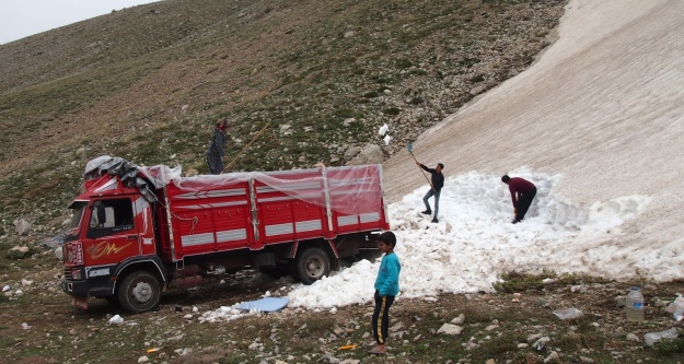 2 Bin 500 Rakımlı Dağda Geçim Mücadelesi!