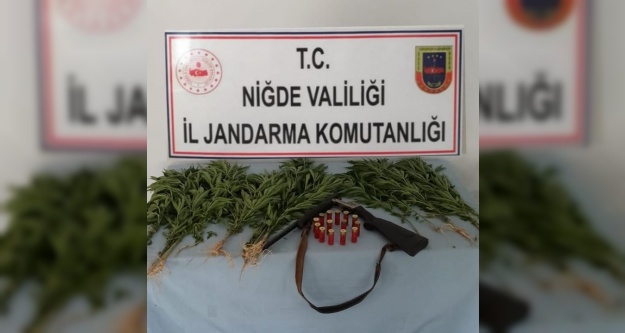 Niğde'nin Köylerinde Kenevir Ele Geçirildi!