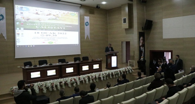 Çelik, küçükbaş hayvan sayısını 90 milyona çıkarmayı hedefliyoruz