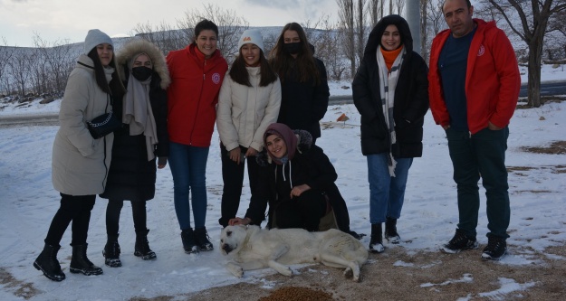 Gençlik Merkezi gönüllüleri sokak hayvanlarını unutmadı