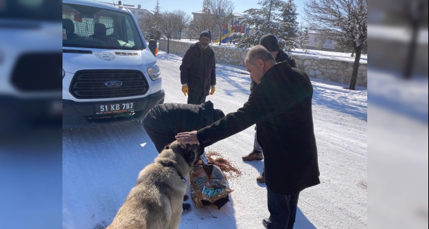 Kemerhisar beldesinden sokak hayvanlarına kulübe desteği