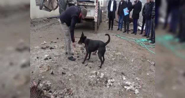 7 yıldır kayıp olan Emrah'ı akrabaları öldürmüş