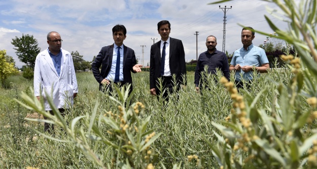 ​KOP Desteklerine Yerinde İnceleme