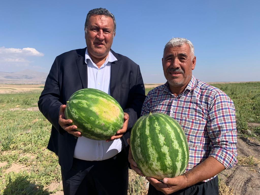 Gürer, 'Marketlerde dilimle satılan karpuz tarlada çürüyor”