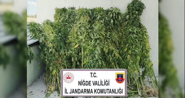 Jandarma Kaçakçılara Nefes Aldırmıyor