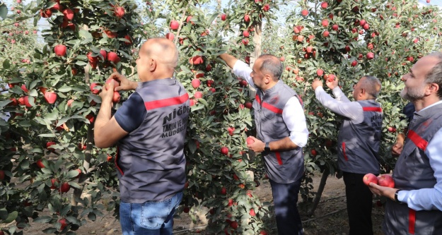 Niğde, Elma Festivali'ne hazırlanıyor