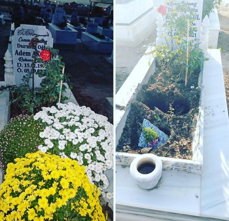 Mezarın üstünde bulunan çiçekleri alıp başka mezara diktiler