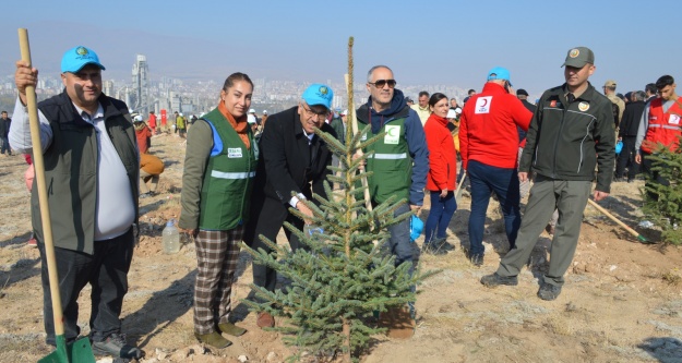 Niğde'de 2 bin 500 fidan toprakla buluştu