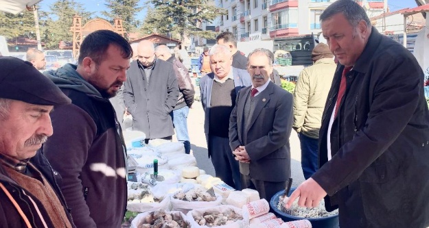 Gürer, 'Peynir de sofraların lüks  gıdası  oldu” 