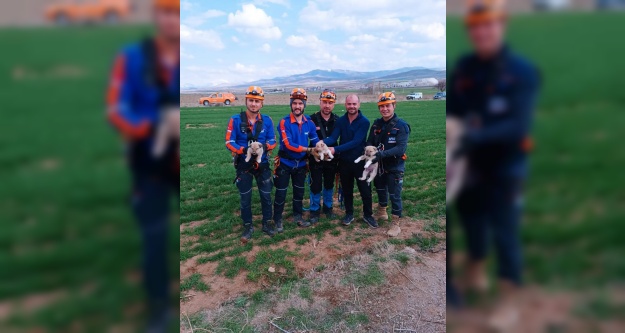 Su Kuyusuna Düşen 2 yavru Köpek Kurtarıldı