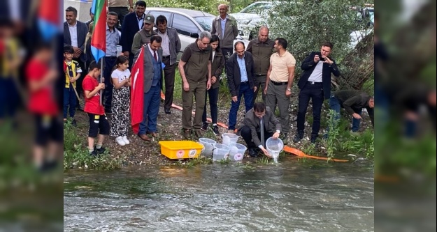 Ecemiş çayına 20 bin Alabalık yavrusu bırakıldı