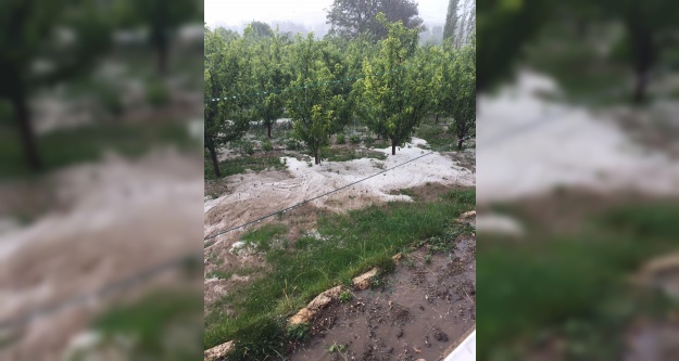 Niğde'de meydana gelen selde tarım arazileri zarar gördü