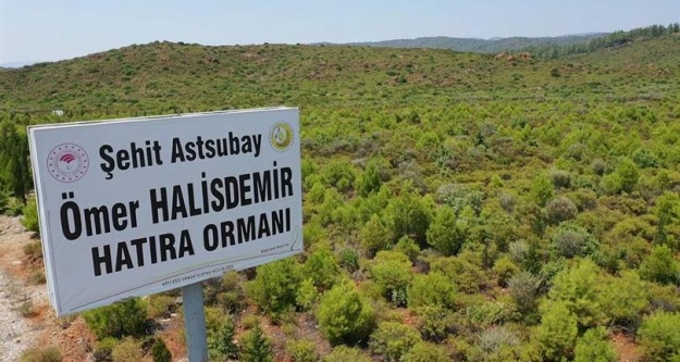 15 Temmuz Şehitleri Hatıra Ormanlarında 300 Bin Fidan Toprakla Buluşturuldu