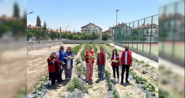 Kendileri yetiştirdi, kendileri topladı