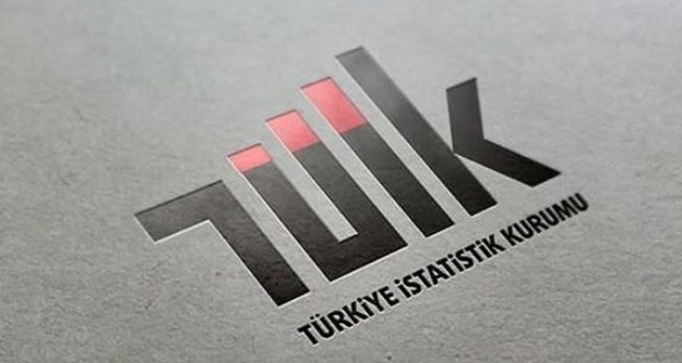 TÜİK, 2022 yılı Uluslararası Göç İstatistikleri'ni açıkladı