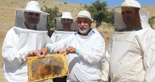 NÖHÜ'de bal hasadı başladı