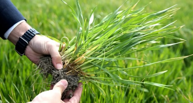 Çiftçinin umudu mart ve nisan yağışları