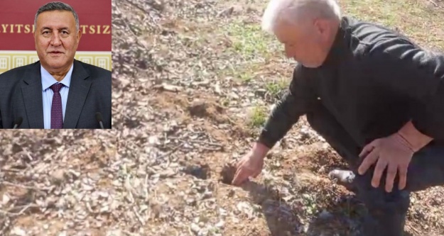 Gürer, 'Tarımda bir de fare sorunu eksikti!”