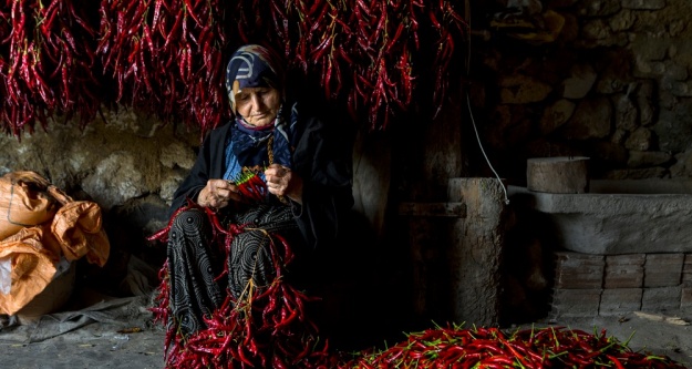 14. Uluslararası Tarım Orman Ve İnsan Fotoğraf Yarışması'nın Sonuçları Açıklandı