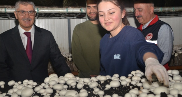 Vali Çelik, Bor İlçesinde Kültür Mantarı Üretim Tesisini Ziyaret Etti