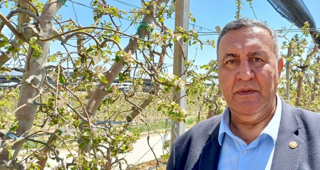 Gürer: 'Niğde'de elma üretiminde Zirai Don ile kayıp 570 bin ton.”