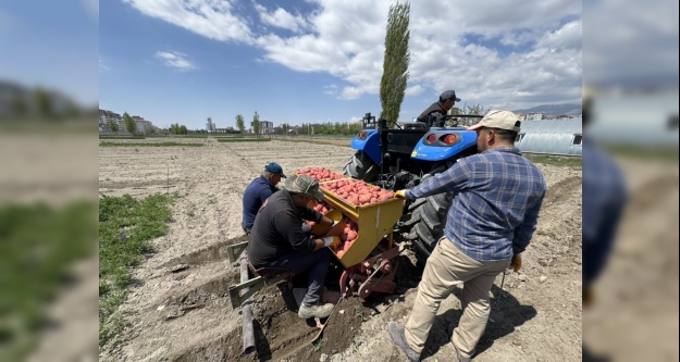 Niğde Patates Araştırma Enstitüsü'nde Bahar Hareketliliği Başladı