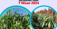 Niğde’de Çiftçilere %75 Hibeli Yem Bitkisi Desteği