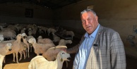 Gürer, “asgari ücrete kurbanlık koyun zor”