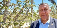Gürer: “Niğde’de elma üretiminde Zirai Don ile kayıp 570 bin ton.”