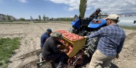 Niğde Patates Araştırma Enstitüsü’nde Bahar Hareketliliği Başladı