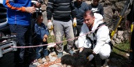 Kuyuya Düşen Köpeği AFAD Kurtardı