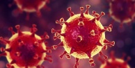 Koronavirüsten Ölenlerin Sayısı 72'ye Yükseldi